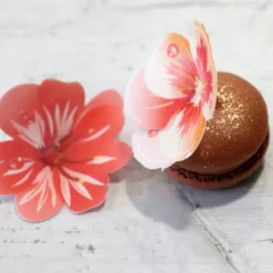 13 Fleurs 3D Comestibles En Azyme Assorties Patisdecor>Cerf Dellier