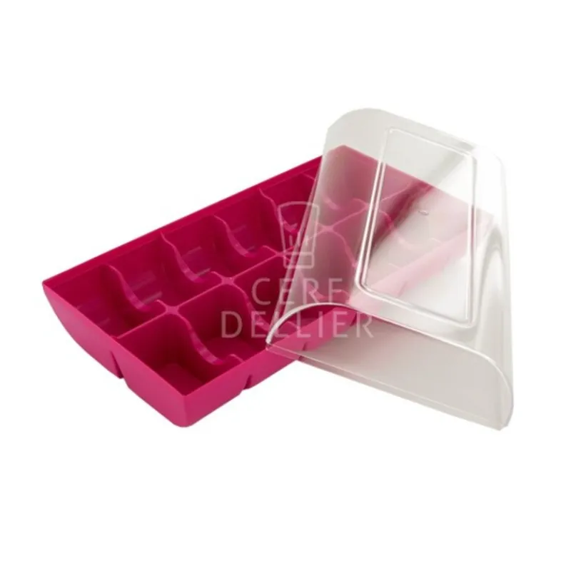 Boite 12 Macarons Rose Fuchsia>Cerf Dellier New