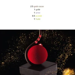 Cerf Dellier Chocolats De Couverture*Chocolat De Couverture Noir Excellence Pistoles 55 % 5 Kg