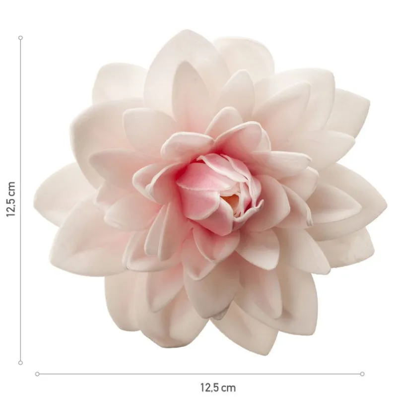 Dahlia Rose Geant Azyme>Cerf Dellier Clearance