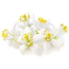 Cerf Dellier Extraits*Extrait De Fleur D'Oranger Patisdecor 50 Ml