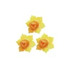 Jonquille Jaune Et Or (X28)>Cerf Dellier