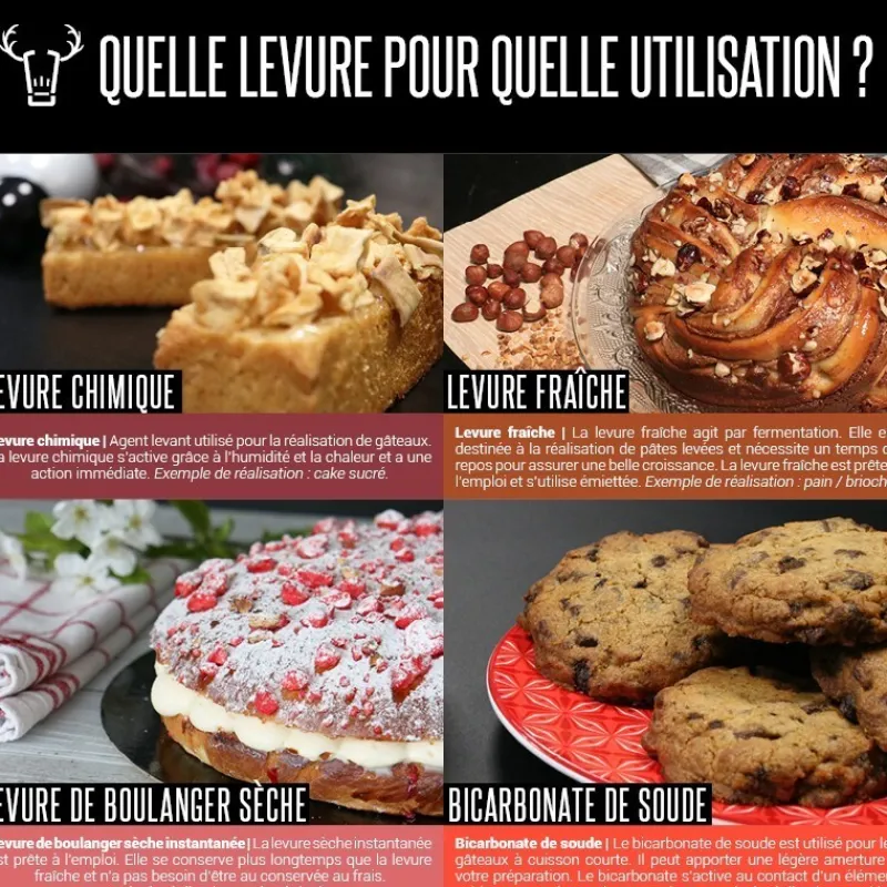 Cerf Dellier Levures*Levure Chimique