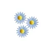 Marguerite Bleue (X100)>Cerf Dellier Sale