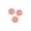 Marguerite Rose (X100)>Cerf Dellier Sale