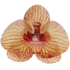Orchidees Jaunes Azyme (X10)>Cerf Dellier Discount