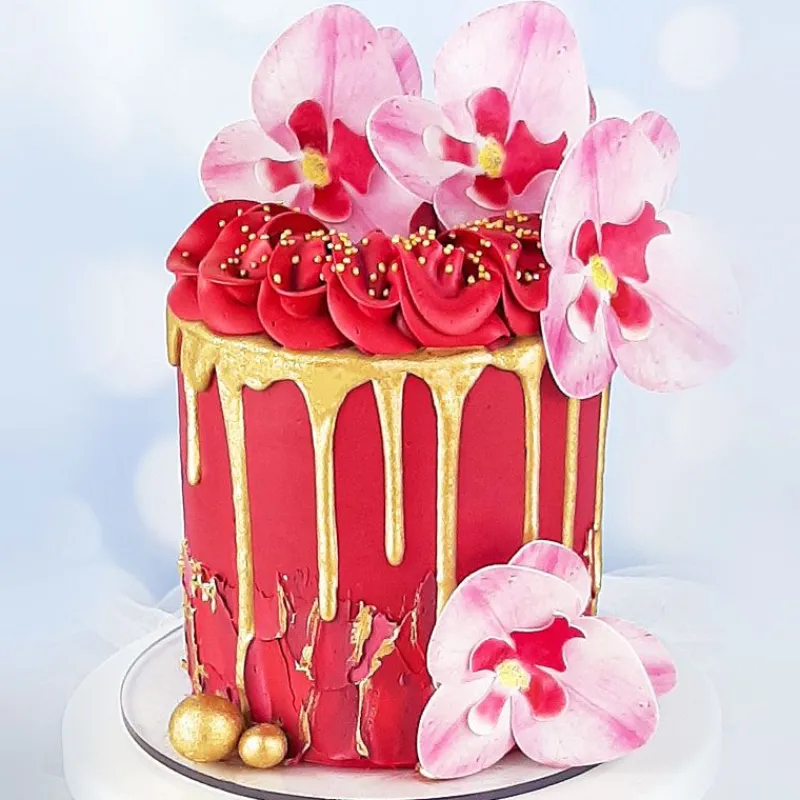 Orchidees Roses Azyme (X10)>Cerf Dellier Best