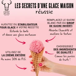 Cerf Dellier Stabilisateurs*Stabilisateur Pour Glace Patisdecor 125 G